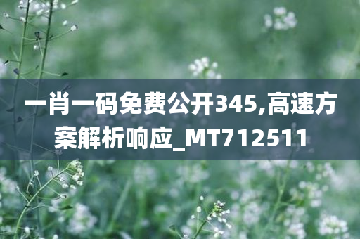 一肖一码免费公开345,高速方案解析响应_MT712511