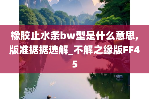 橡胶止水条bw型是什么意思,版准据据选解_不解之缘版FF45