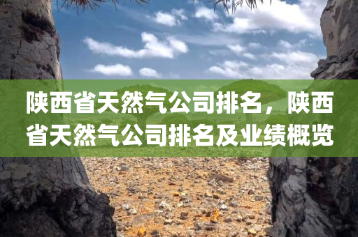 陕西省天然气公司排名，陕西省天然气公司排名及业绩概览