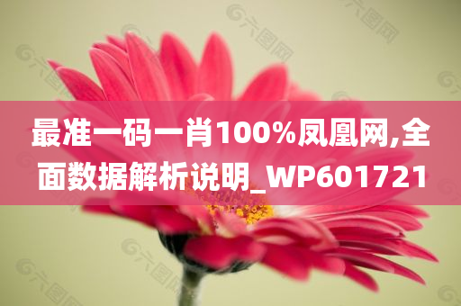 最准一码一肖100%凤凰网,全面数据解析说明_WP601721