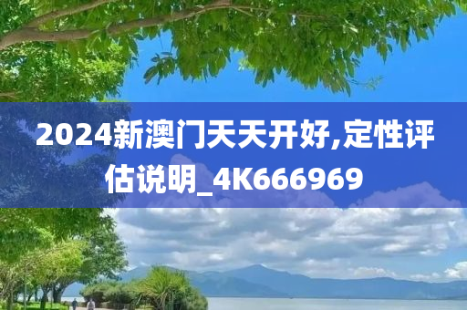 2024新澳门天天开好,定性评估说明_4K666969