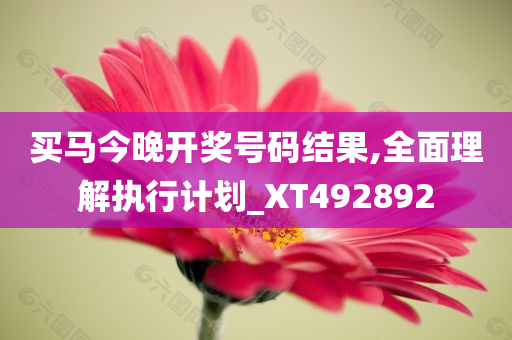 买马今晚开奖号码结果,全面理解执行计划_XT492892