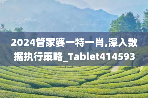 2024管家婆一特一肖,深入数据执行策略_Tablet414593