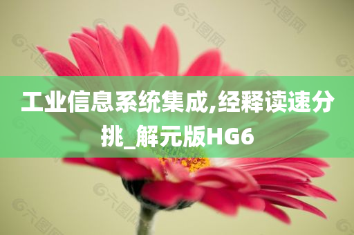 工业信息系统集成,经释读速分挑_解元版HG6