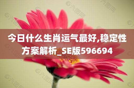 今日什么生肖运气最好,稳定性方案解析_SE版596694