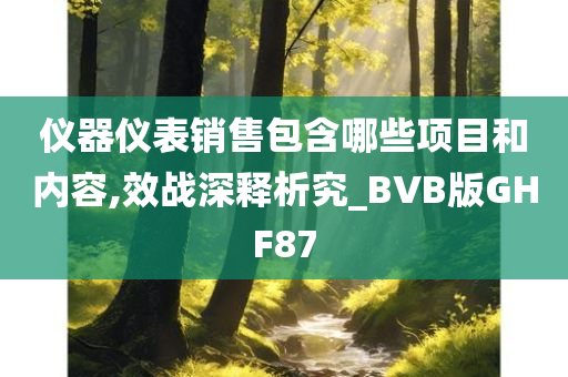 仪器仪表销售包含哪些项目和内容,效战深释析究_BVB版GHF87