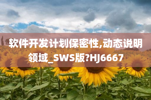 软件开发计划保密性,动态说明领域_SWS版?HJ6667