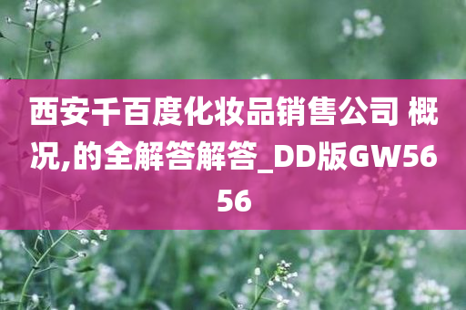 西安千百度化妆品销售公司 概况,的全解答解答_DD版GW5656