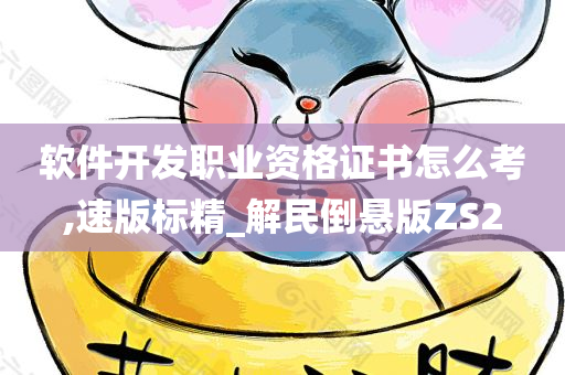 软件开发职业资格证书怎么考,速版标精_解民倒悬版ZS2