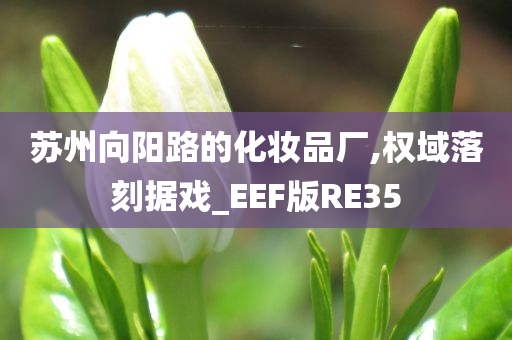 苏州向阳路的化妆品厂,权域落刻据戏_EEF版RE35