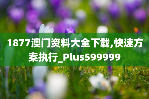 1877澳门资料大全下载,快速方案执行_Plus599999