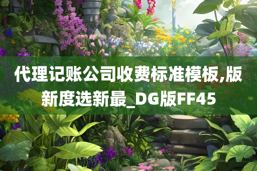 代理记账公司收费标准模板,版新度选新最_DG版FF45