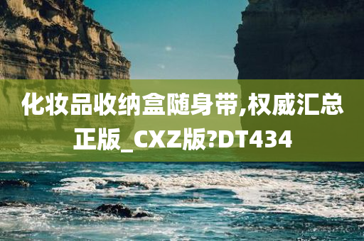 化妆品收纳盒随身带,权威汇总正版_CXZ版?DT434