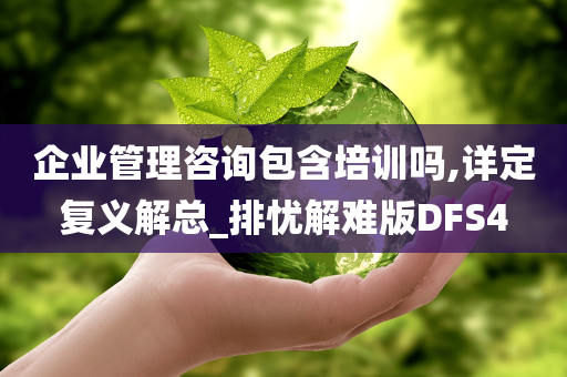 企业管理咨询包含培训吗,详定复义解总_排忧解难版DFS4