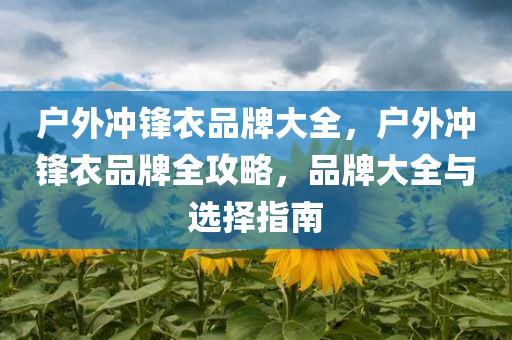 户外冲锋衣品牌大全，户外冲锋衣品牌全攻略，品牌大全与选择指南