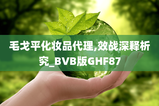 毛戈平化妆品代理,效战深释析究_BVB版GHF87