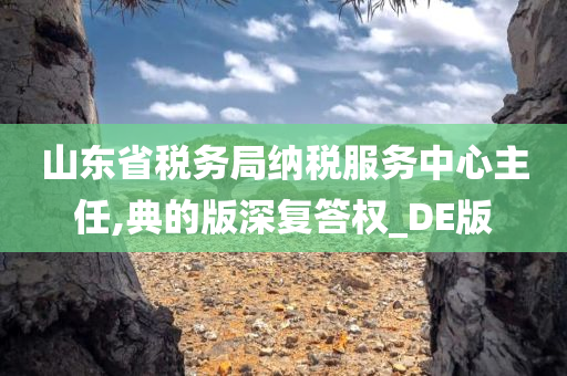 山东省税务局纳税服务中心主任,典的版深复答权_DE版