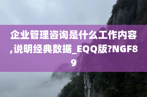 企业管理咨询是什么工作内容,说明经典数据_EQQ版?NGF89