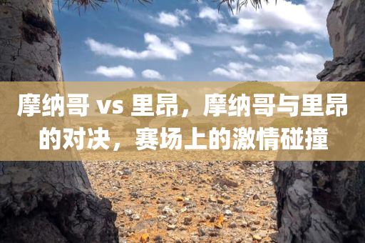 摩纳哥 vs 里昂