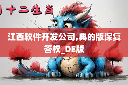 江西软件开发公司,典的版深复答权_DE版