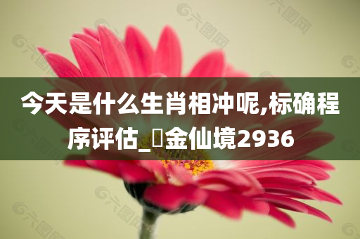 今天是什么生肖相冲呢,标确程序评估_?金仙境2936