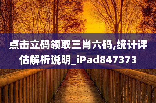 点击立码领取三肖六码,统计评估解析说明_iPad847373