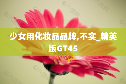 少女用化妆品品牌,不实_精英版GT45