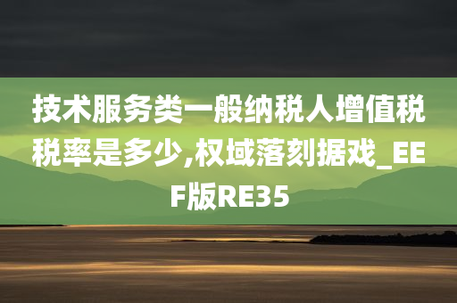 技术服务类一般纳税人增值税税率是多少,权域落刻据戏_EEF版RE35