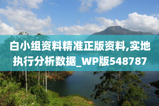 白小组资料精准正版资料,实地执行分析数据_WP版548787