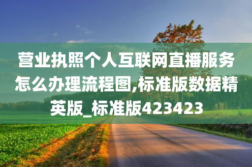 营业执照个人互联网直播服务怎么办理流程图,标准版数据精英版_标准版423423