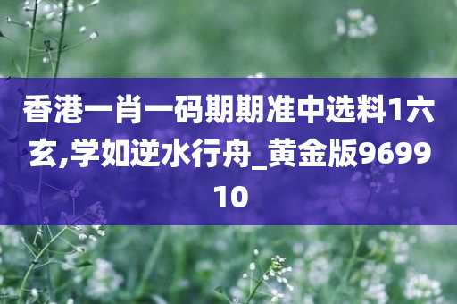 香港一肖一码期期准中选料1六玄,学如逆水行舟_黄金版969910