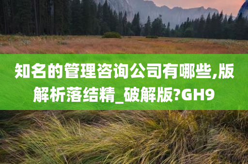 知名的管理咨询公司有哪些,版解析落结精_破解版?GH9