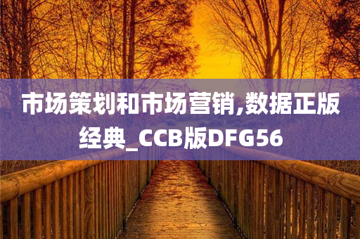 市场策划和市场营销,数据正版经典_CCB版DFG56