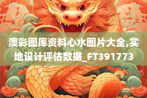 澳彩图库资料心水图片大全,实地设计评估数据_FT391773