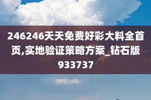 246246天天免费好彩大料全首页,实地验证策略方案_钻石版933737