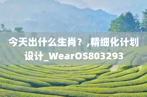 今天出什么生肖？,精细化计划设计_WearOS803293