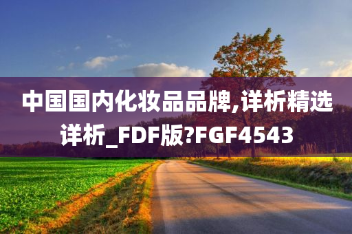 中国国内化妆品品牌,详析精选详析_FDF版?FGF4543