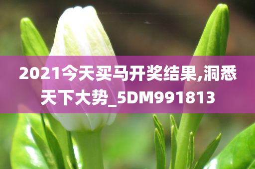 2021今天买马开奖结果,洞悉天下大势_5DM991813