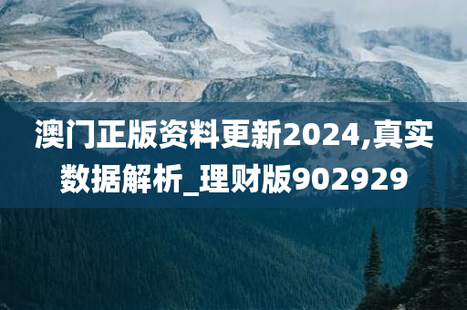 澳门正版资料更新2024,真实数据解析_理财版902929