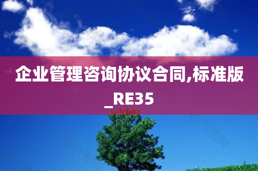 企业管理咨询协议合同,标准版_RE35