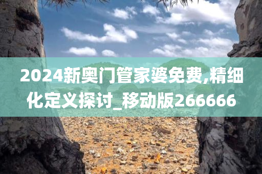 2024新奥门管家婆免费,精细化定义探讨_移动版266666