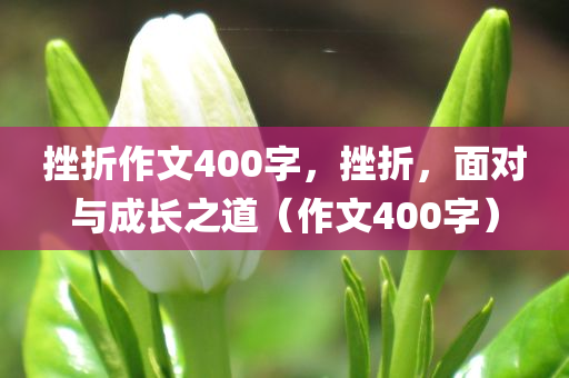 挫折作文400字，挫折，面对与成长之道（作文400字）