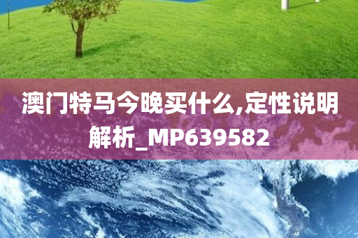 澳门特马今晚买什么,定性说明解析_MP639582