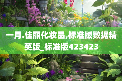 一月.佳丽化妆品,标准版数据精英版_标准版423423