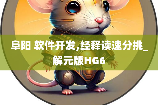 阜阳 软件开发,经释读速分挑_解元版HG6