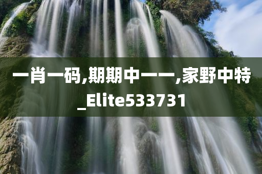 一肖一码,期期中一一,家野中特_Elite533731