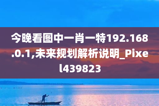 今晚看图中一肖一特192.168.0.1,未来规划解析说明_Pixel439823