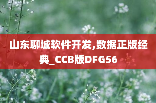 山东聊城软件开发,数据正版经典_CCB版DFG56