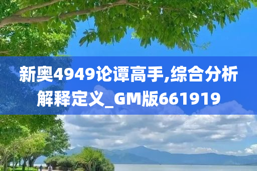 新奥4949论谭高手,综合分析解释定义_GM版661919