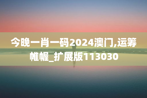 今晚一肖一码2024澳门,运筹帷幄_扩展版113030